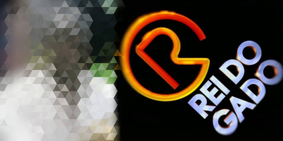 Ator de "O Rei do Gado" morreu de tristeza (Foto Reprodução/Montagem/Fatos da Tv)