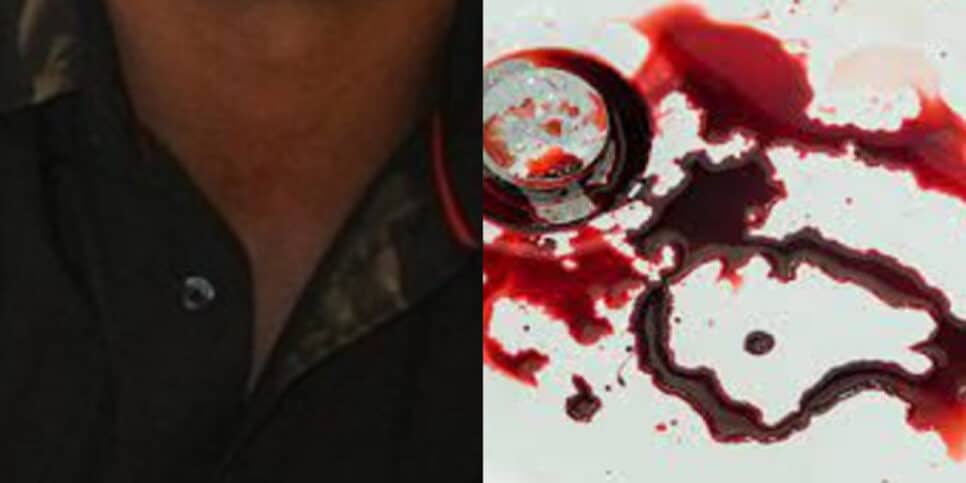 ator da Globo foi encontrada morta e ensanguentada no banheiro da sua casa (Foto Reprodução/Montagem/Fatos da Tv)