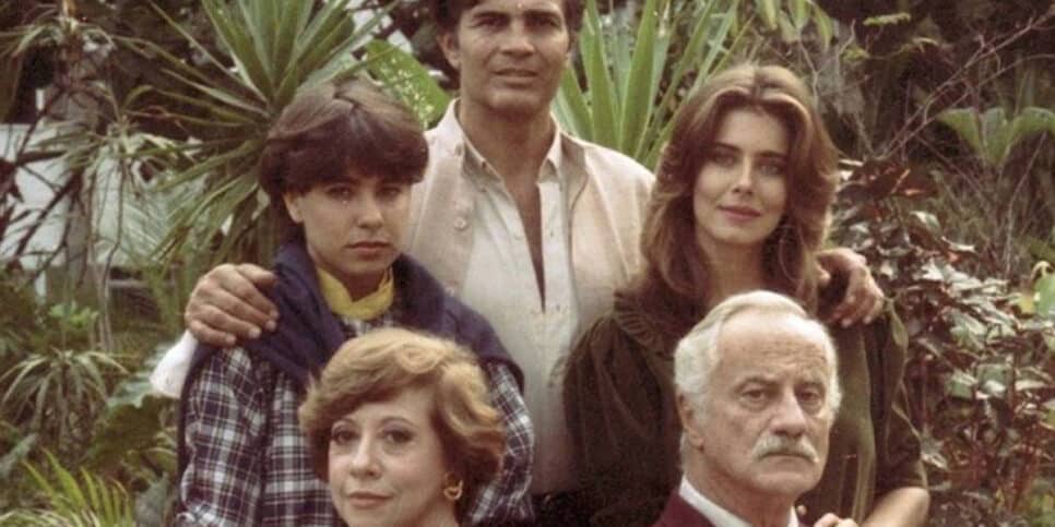 Elenco de Irmão Coragem (Foto: Reprodução - Globo)