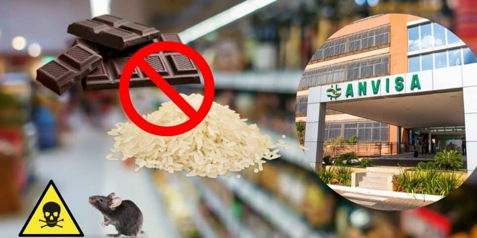 Chocolate, arroz, substância fatal, rato, supermercado e fachada da Anvisa (Foto: Reprodução / Canva / Montagem Fatos da TV)