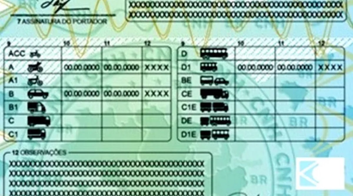 Nova tabela de subcategorias da carteira de motorita não precisa de nova 'atualização' do condutor (Foto: Reprodução/ Internet)